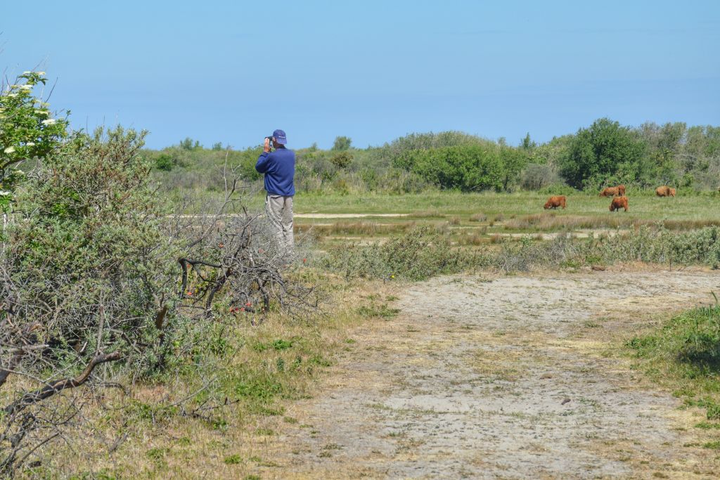 Wandelen Slikken van Flakkee