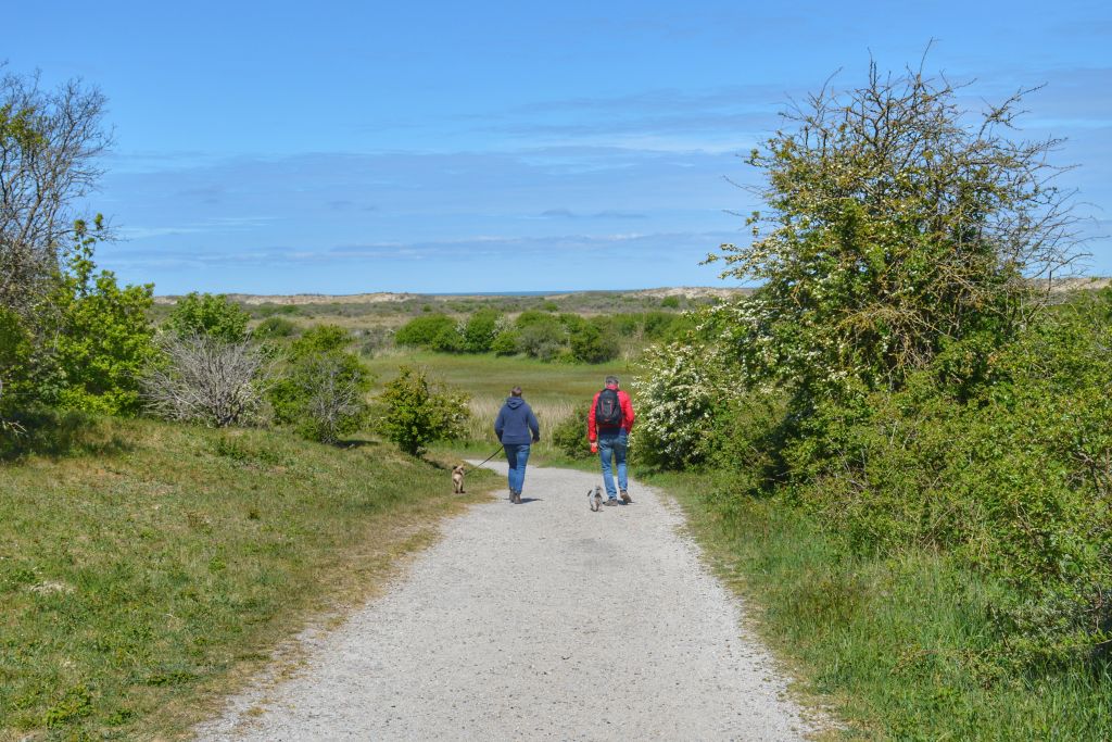 Wandelen in de Kwade Hoek