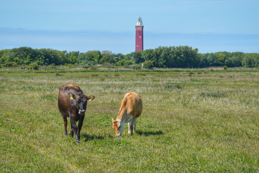 Vuurtoren Westhoofd Oudddorp