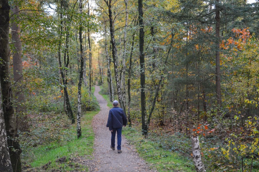 Wandelroutes in Lunteren