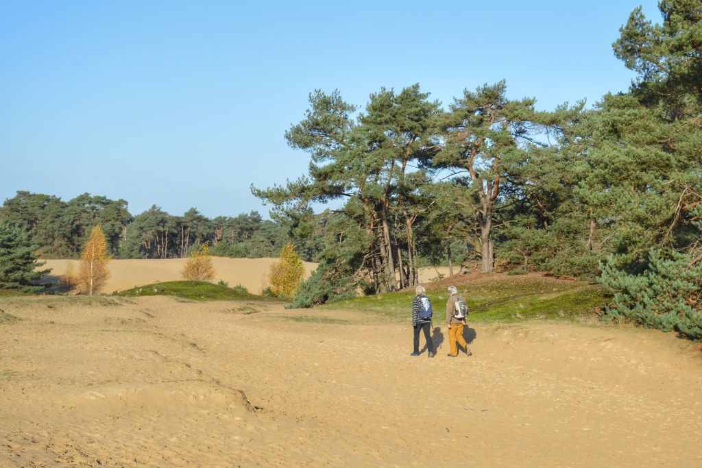 Wandelroutes Lunteren: rondje Wekeromse Zand