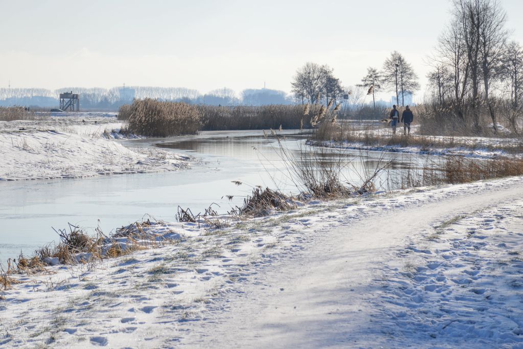 Binnenveldse Hooilanden