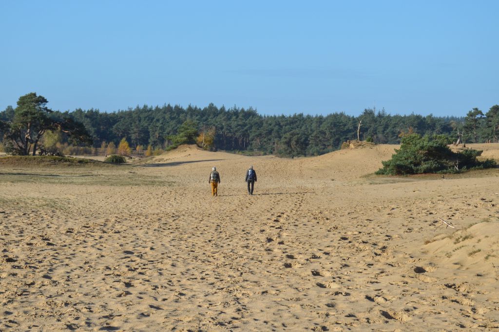 Winterwandeling Wekeromse Zand