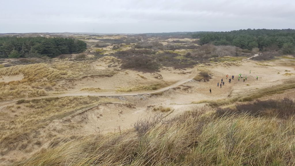 De duinen bij Noordwijk
