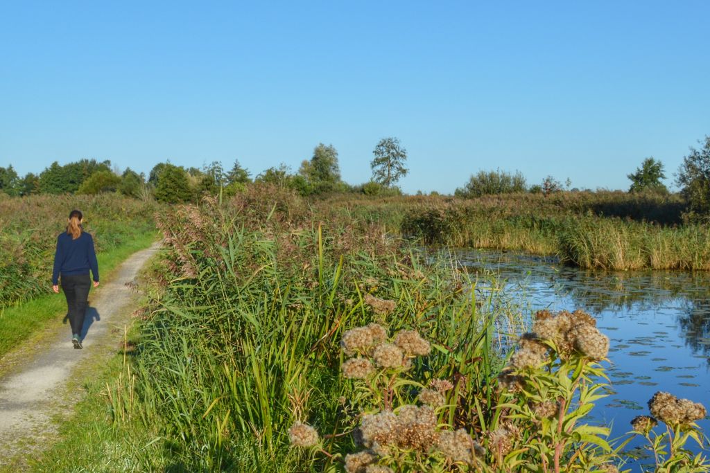 Brandemeer Friesland
